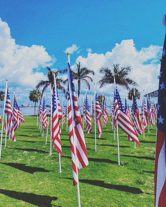 Flags on Veterans Day in Punta Gorda FL